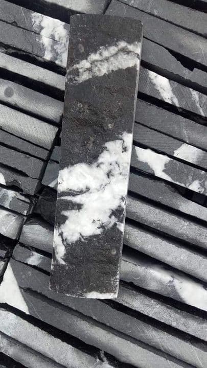 Noir à Veinage Blanc